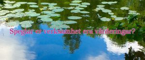 Speglar er verksamhet era värderingar?